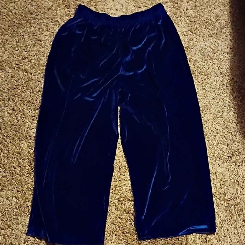 Bob Mackie Blue Velvet Pants